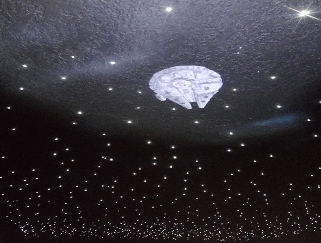 airbrushed fiber optic star ceiling